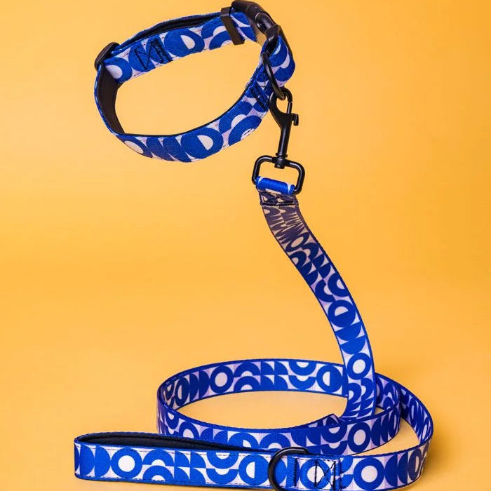 Pet collar & leash combo